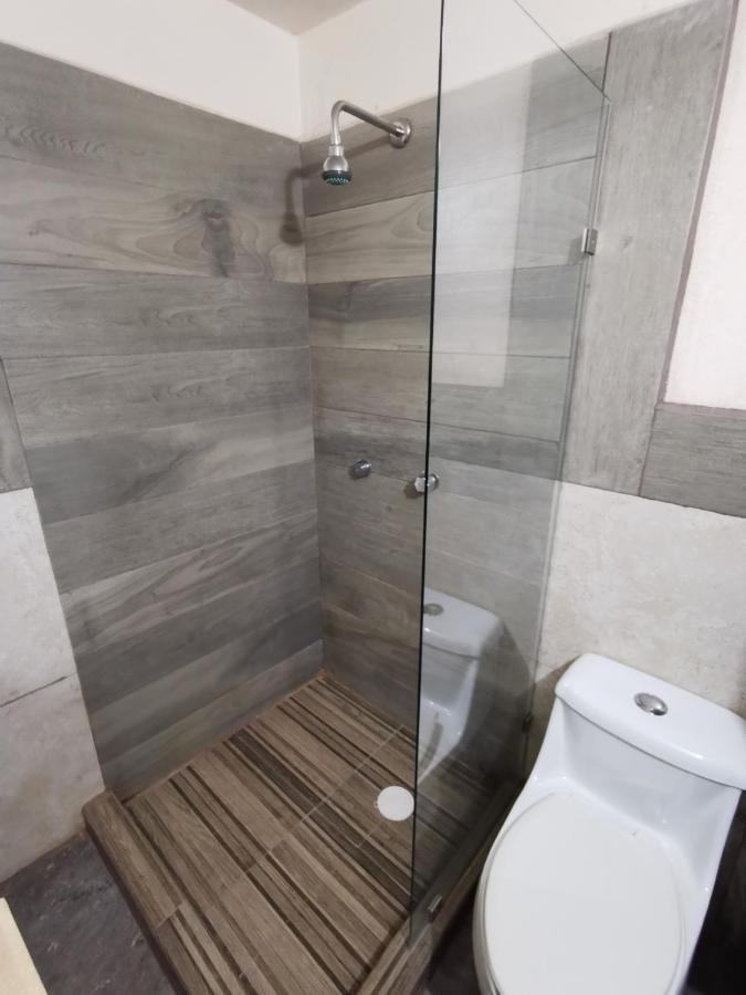 Hotel Santo Carlo Γκουαναχουάτο Εξωτερικό φωτογραφία